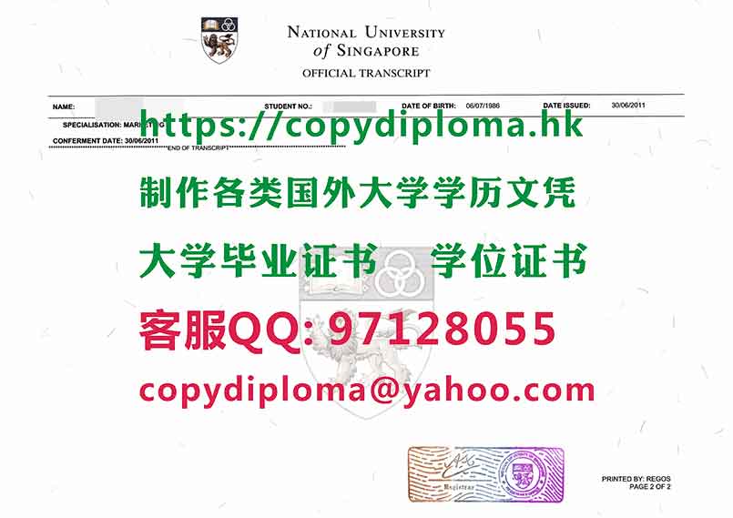 新加坡国立大学成绩样本